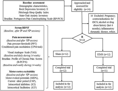 Insights About the Neuroplasticity State on the Effect of Intramuscular Electrical Stimulation in Pain and Disability Associated With Chronic Myofascial Pain Syndrome (MPS): A Double-Blind, Randomized, Sham-Controlled Trial